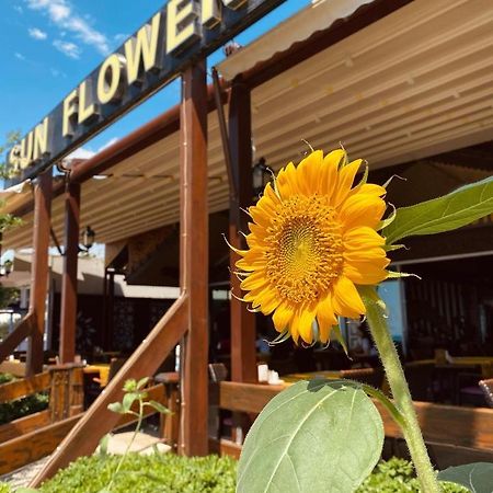 Sun Flower Apart Hotel Side Eksteriør billede