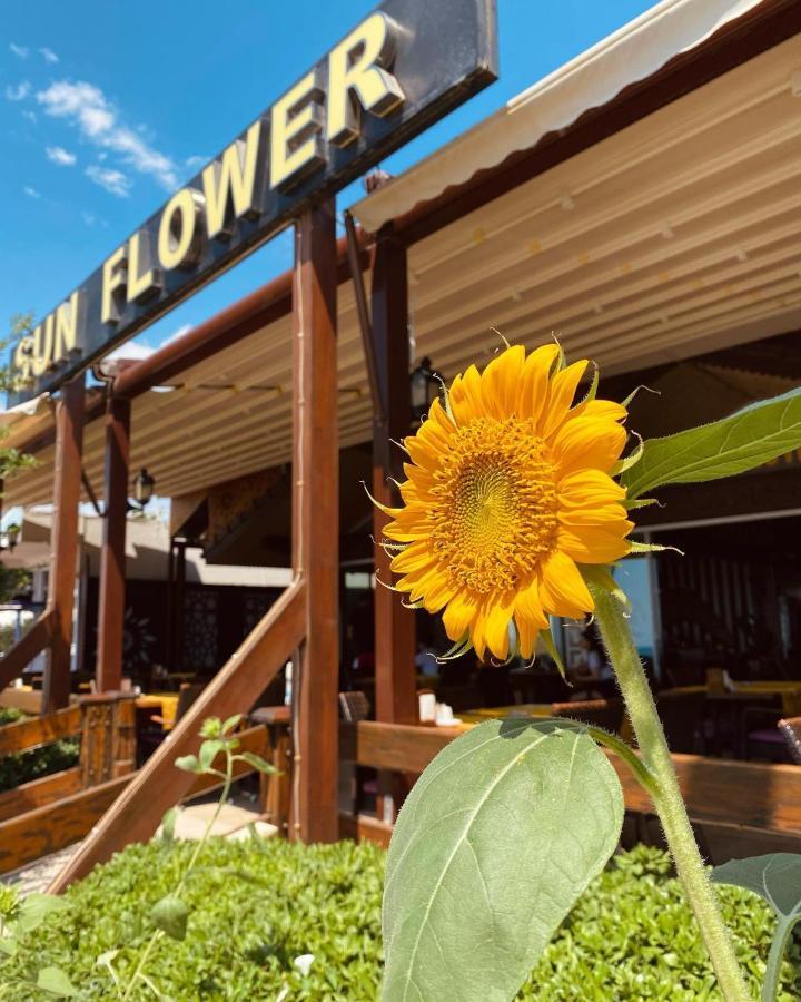 Sun Flower Apart Hotel Side Eksteriør billede